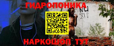 Альфа ПВП Лесосибирск